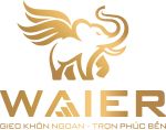 CÔNG TY CỔ PHẦN ĐẦU TƯ TÀI SẢN KHÔN NGOAN