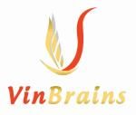 Công ty Cổ phần Đầu tư và Phát triển Vin Brains