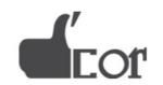 Công ty cổ phần D'cor Việt Nam