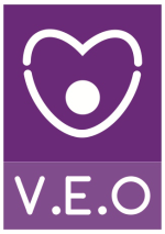 Công ty cổ phần du lịch và đào tạo V.E.O