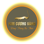 CÔNG TY CỔ PHẦN DƯỢC THẢO KIM CƯƠNG VÀNG PLUS