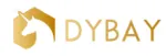 CÔNG TY CỔ PHẦN DYBAY VIỆT NAM HOLDING