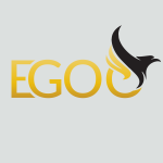 Công ty cổ phần Egoo Việt Nam