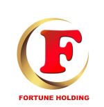 Công ty Cổ phần Fortune Holding