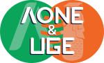 Công ty cổ phần giải pháp tổng hợp AONE