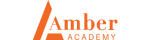 Công ty cổ phần giáo dục Amber Academy