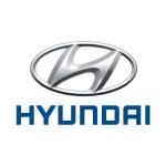 CÔNG TY CỔ PHẦN HYUNDAI MIỀN NAM