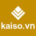 Công ty cổ phần kaiso