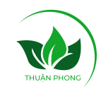 CÔNG TY CỔ PHẦN MÔI TRƯỜNG THUẬN PHONG