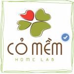 Công Ty Cổ Phần Mỹ Phẩm Thiên Nhiên Song An - Cỏ Mềm Homelab