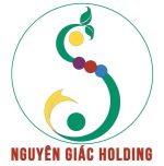 CÔNG TY CỔ PHẦN NGUYÊN GIÁC HOLDING