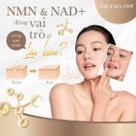 CÔNG TY CỔ PHẦN NMN VIỆT NAM