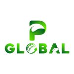 CÔNG TY CỔ PHẦN P GLOBAL