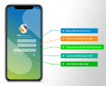 Công ty Cổ phần Phần mềm VNS