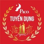 Công ty cổ phần PICO