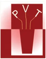 Công Ty Cổ Phần Pvt Studio