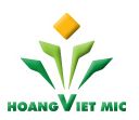 Công ty cổ phần quản lý tư vấn đầu tư nhân lực Hoàng Việ