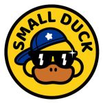 CÔNG TY CỔ PHẦN SMALL DUCK MIỀN BẮC VIỆT NAM