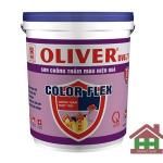 Công ty Cổ phần Sơn Oliver Miền Bắc