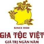 Công ty Cổ phần Tập đoàn Gia tộc Việt