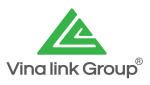 Công ty Cổ phần Tập đoàn Liên kết Việt Nam
