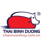 CÔNG TY CỔ PHẦN THƯƠNG MẠI DỊCH VỤ SẢN XUẤT THÁI BÌNH DƯƠNG