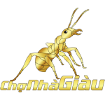 Công Ty Cổ phần Thương mại Điện tử Chợ Nhà Giàu