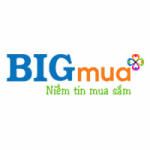 Công ty cổ phần thương mại trực tuyến Bigmua Việt Nam