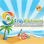 CÔNG TY CỔ PHẦN THƯƠNG MẠI VÀ DU LỊCH STRIP VIỆT NAM