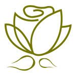 Công ty cổ phần thương mại và sản xuất Rossie Natural Cosmetic mại và sản xuất Rossie Natural Cosmetic
