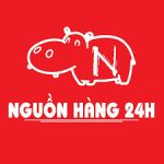 CÔNG TY CỔ PHẦN THƯƠNG MẠI XNK NHÀ XINH VIỆT NAM