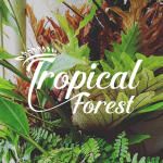 Công Ty Cổ Phần Tropical Design