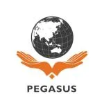 Công ty cổ phần tư vấn và đầu tư Pegasus