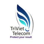 Công ty CP Dịch vụ Viễn thông Trí Việt