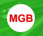 Công ty CP Môi trường Xanh và Xanh