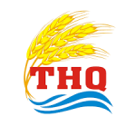 CÔNG TY CP TƯ VẤN VÀ ĐẦU TƯ THQ HÀ NỘI