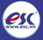 công ty giải pháp trực tuyến esc