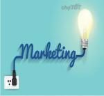 Công Ty Mandarin Marketing