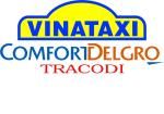 Công ty Taxi Việt Nam