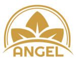 CÔNG TY TNHH ANGEL FINE FOOD ( AFF)