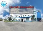 công ty TNHH Bando Vina