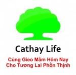 CÔNG TY TNHH BẢO HIỂM NHÂN THỌ CATHAY LIFE VIỆT NAM