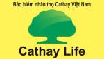 Công ty TNHH BHNT CAthay Việt Nam