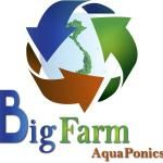 Công ty TNHH Bigfarm - Aquaponics