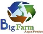 Công ty TNHH Bigfarm Aquaponics