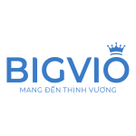 Công ty TNHH Bigvio Việt Nam