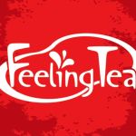 CÔNG TY TNHH CẢM XÚC