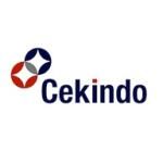 Công ty TNHH Cekindo Business International