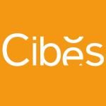 Công ty TNHH Cibes Lift Việt Nam