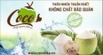Công ty TNHH Cocolike